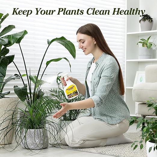 2 Pack Neem Oil &amp Peppermint Plant Spray – Natural Leaf Shine with Natural Essential Oils for Indoor &amp Outdoor UseSimple Ready-to-Use Plant Spray for Gardens Houseplants- 32oz