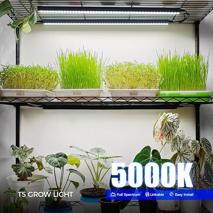 Barrina T5 Grow Lights 2FT 80W(8 x 10W) Black Cover LED Plant Growing Lamp for Indoor Plants Full Spectrum Grow Light Strip with Switch Magnetic Installation Plug and Play 5000K White 8 Packs