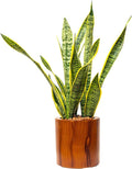 7.8 in. Dark Wood Plastic Self Watering Planter Pot