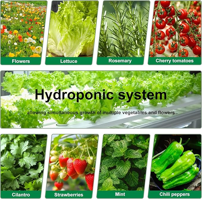 40-Hole Hydroponic Growing Tower with LED Grow Lights &amp Auto Water Pump - 59'' Indoor/Outdoor Vertical Garden System Kit for Vegetables Herbs Strawberries - Space-Saving Wheeled Soil-Free (Gre