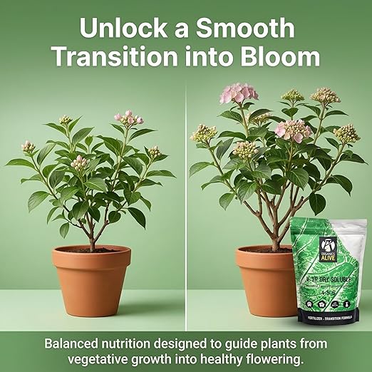 V-TR Dry Soluble Microbial Fertilizer Transition Formula 1 lb.