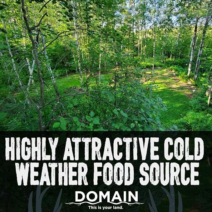 Domain Outdoor Green Machine Food Plot Seed for Deer 1/4 Acre Winter Peas Forage Oats Winter Rye Forage Rape Radish Highly Attractive Food Source Will Stay Green