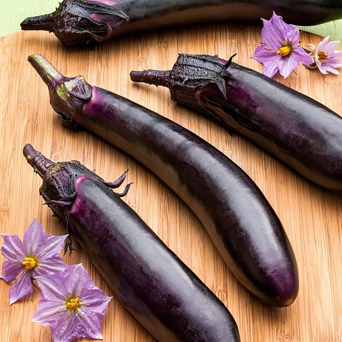 Bonnie Plants Ichiban Type Japanese Eggplant - 4 Pack Live Plants Great in Containers 10in. Long Fruit Perfect for Grilling &amp Roasting Green
