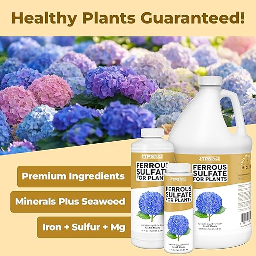 Ferrous Sulfate for Plants – Liquid Iron Supplement for Greener Leaves Improved Chlorophyll Production &amp Reduced Yellowing 1 Gallon