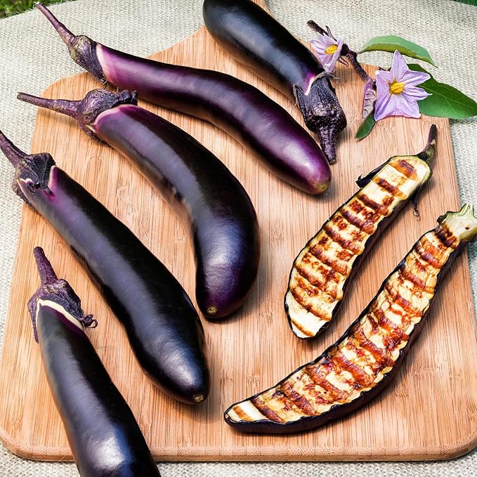 Bonnie Plants Ichiban Type Japanese Eggplant - 4 Pack Live Plants Great in Containers 10in. Long Fruit Perfect for Grilling &amp Roasting Green
