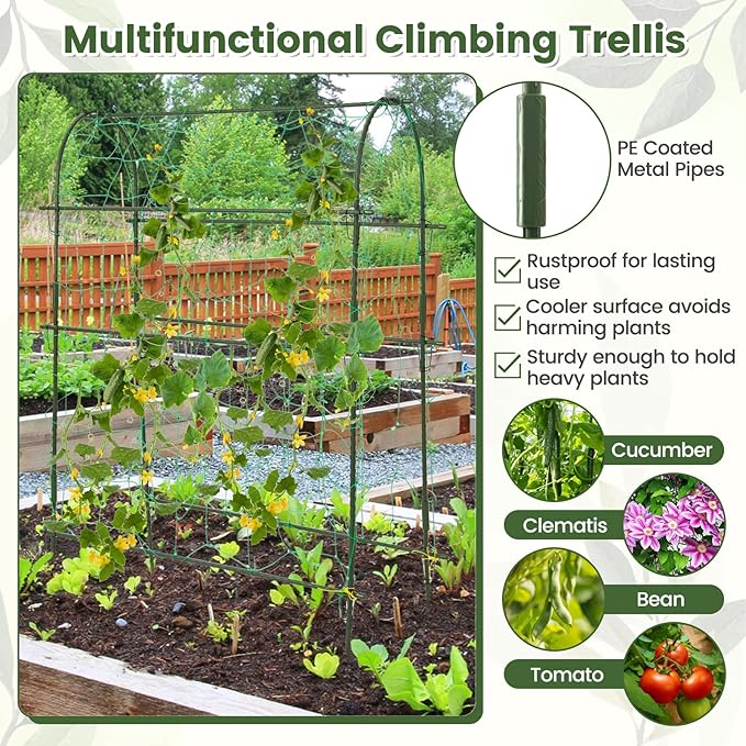 Giantex Raised Garden Bed with Climbing Trellis Self-Watering Elevated Planter Water Level Indicator &amp Drainage Hole Plant Raised Bed for Cucumber Vegetables Fruits Herbs