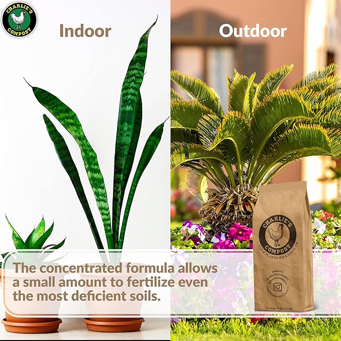 Charlie's Compost - Odor Free Organic Fertilizer for Home Gardens Raised Beds Containers Seed Starting Mix Natural Soil Amendment with Biochar 10lb