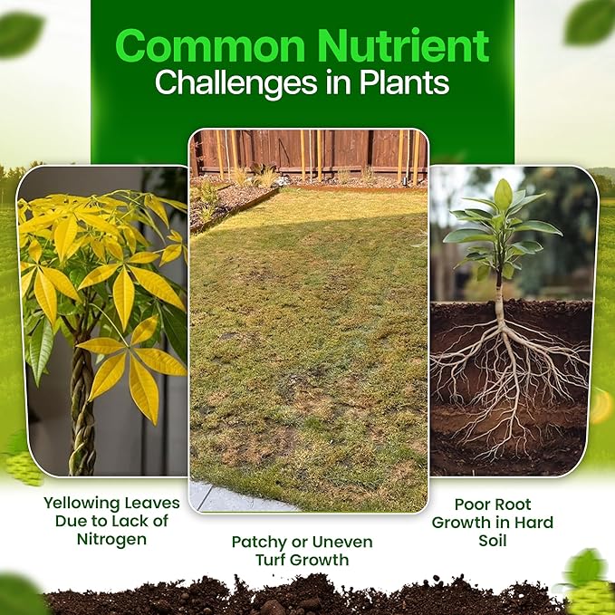 22-0-0 Liquid Nitrogen Fertilizer for Lower Soil Temps &amp High pH - Ammonium Sulfate Fertilizer with 40% Slow-Release Nitrogen 4% Sulfur for Quick Absorption - 2.5 Gallon