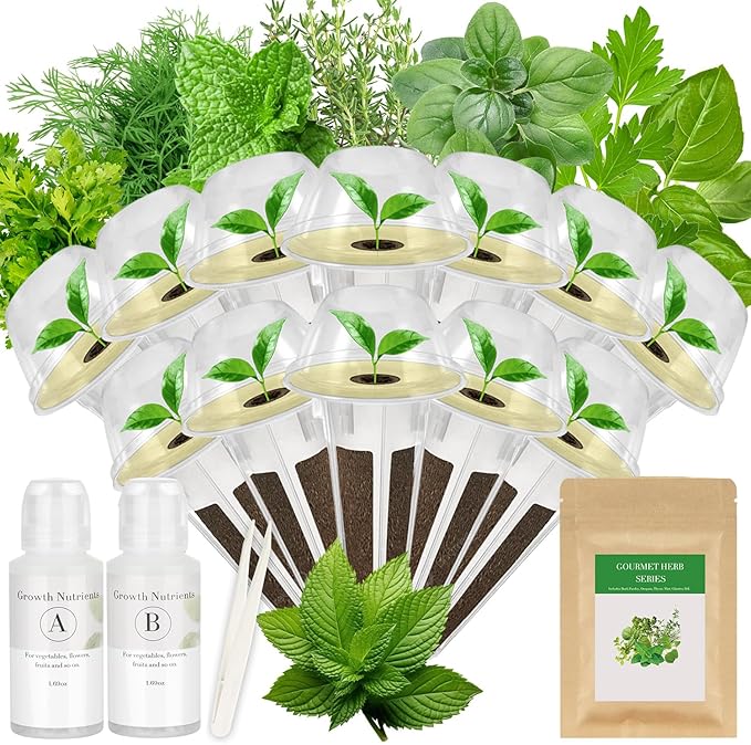 Gourmet Herbs Seed Pod Kit for AeroGarden iDoo Ahopegarden MUFGA Hydroponics Garden with Basil Parsley Thyme Mint Cilantro Dill Oregano - Compatible with All Hydroponics (12-Pod)