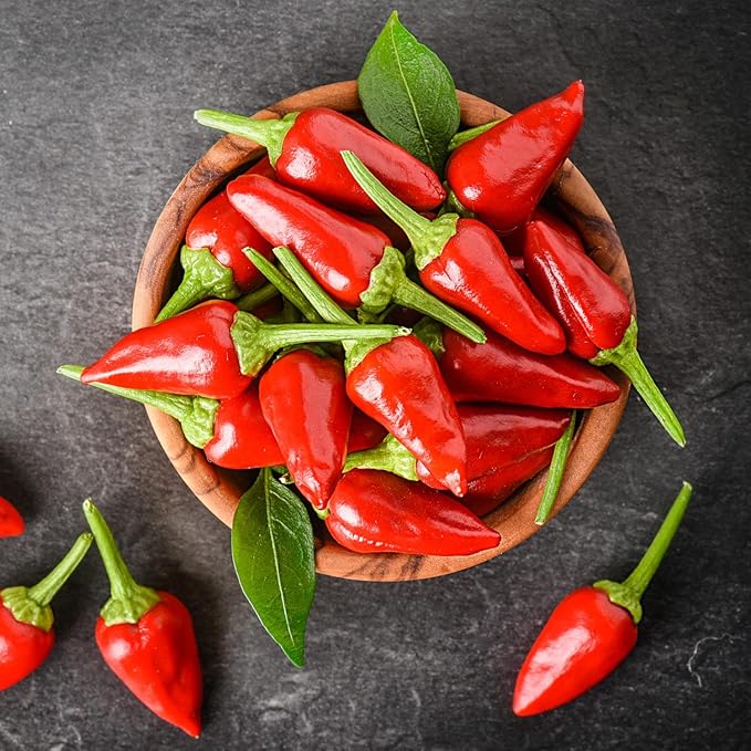 Bonnie Plants Thai Ornamental Hot Pepper 19.3 oz. 4-Pack Live Plants