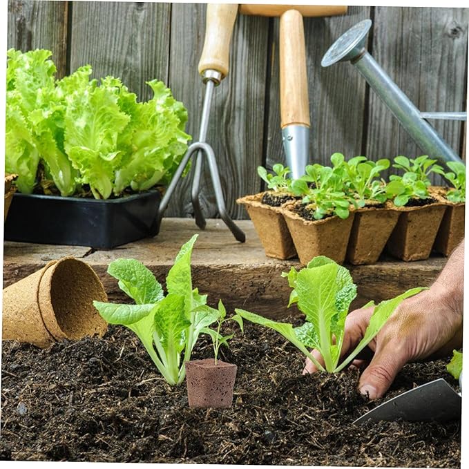 Mipcase 160pcs Seed Starter Cubes Grow Cubes Plugs Hydroponics System Nursery Soil Blocks for Plant Supply