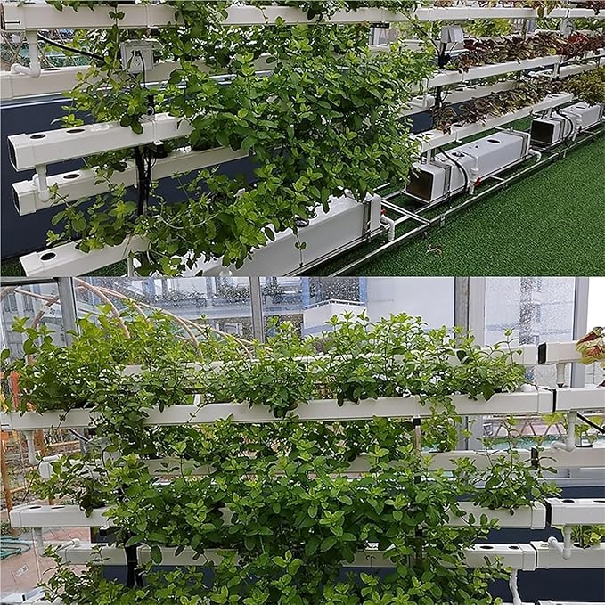 Hydroponics Growing Systems Kit Hydroponics Indoor Gardenfor Herbs Fruits and Vegetables.