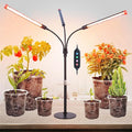 3Head Tabletop Grow Lights for Indoor Plants Seed Starting Vegetables Bonsai Bright Desk Plant Growing Lamps 4/8/12/16/20H Timer 27 Watt Power Draw NO Need Adapter 360° Gooseneck