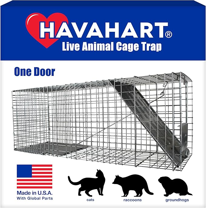 HAVAHART 1079SR Large 1-Door Humane Catch and Release Live Animal Trap Cage - Live Raccoon Trap for Bobcats Beavers Dogs &amp More