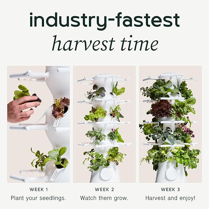 Farmstand Nook 4ft.7” Vertical Hydroponic Garden Tower - Self-Watering Vertical Hydroponic Tower with LED Grow Lights 20 Live Seedlings Smart Timer - Indoor Vertical Growing Tower