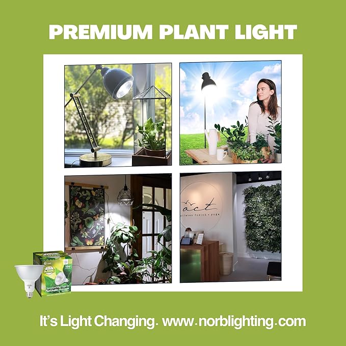 NorbBOTANIC Premium LED Grow Light Full Spectrum PAR38 Bulb 1350 Lumens Energy-Efficient Sun-Spectrum Mimics Sunlight White Light Perfect for Indoor Plants Herbs Tropical Plants 16W 30 Degree