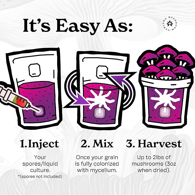 3LB All in One Magic Mushroom Grow Kit: Up to 48oz Yield! 0.2 Micron Filter + Injection Port - Mycologist Designed - Just Add Spores &amp Grow Like Magic
