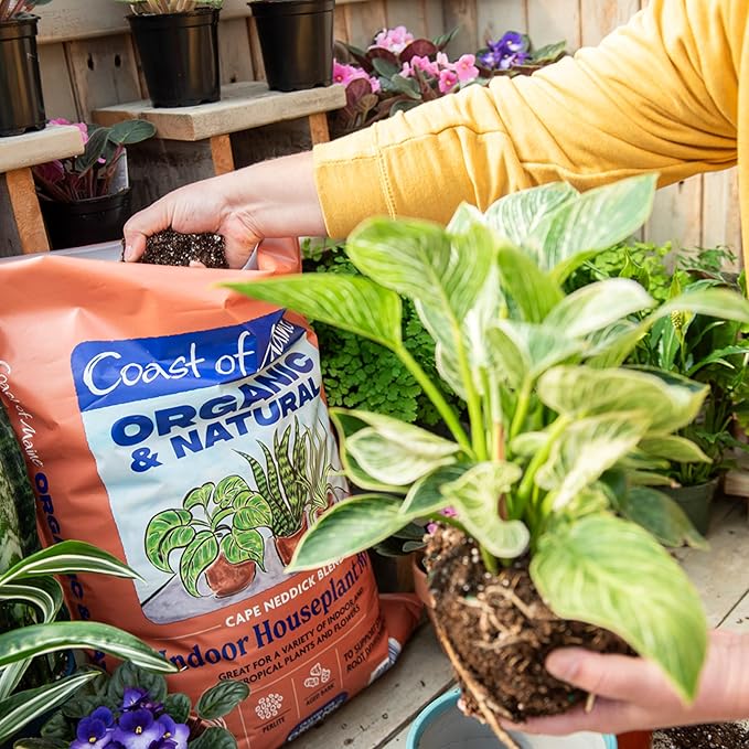 Coast of Maine (16qt) Cape Neddick Blend Organic and Natural Indoor Houseplant Mix Great for Indoor and Tropical Plants and Flowers
