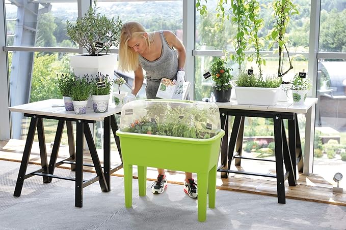 Zanvic Spa Urban Garden Planter Pistachio