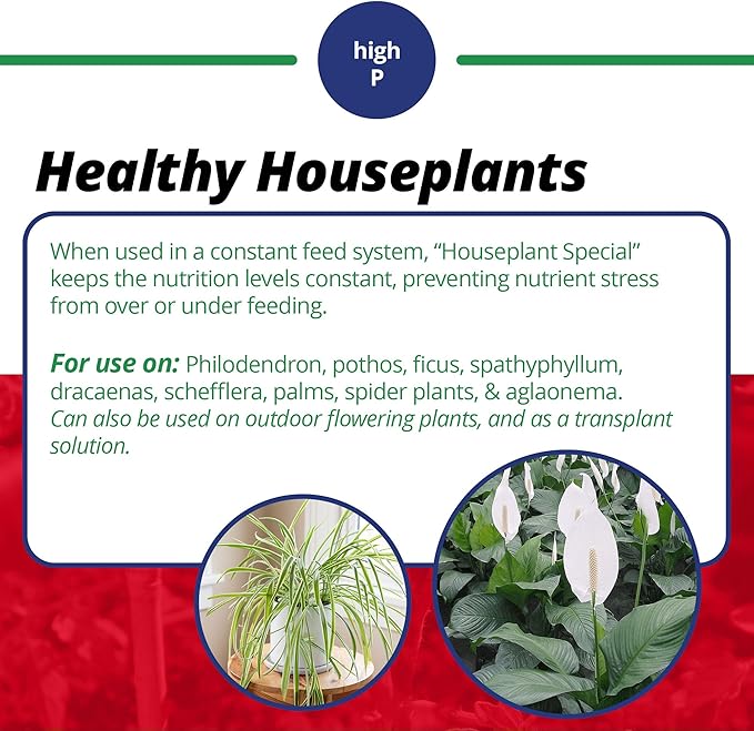 Jack's Classic 15-30-15 Houseplant Special Water-Soluble Fertilizer with Micronutrients to Green-Up and Increase Blooms in Houseplants 8oz 2 Pack