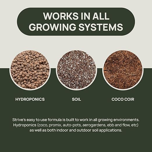 Strive Fertilizer Starter Kit Combo - Veg + Bloom General Hydroponic Nutrients - Indoor Outdoor and Soil Growing Plant Food - Booster for Vegetables Succulents Flowers