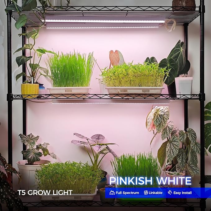Barrina Grow Lights for Indoor Plants Full Spectrum Sunlight 2ft 40W (4 x 10W 250W Equivalent) LED Grow Light Bulbs T5 Grow Lights Plug and Play Pinkish White 4-Pack