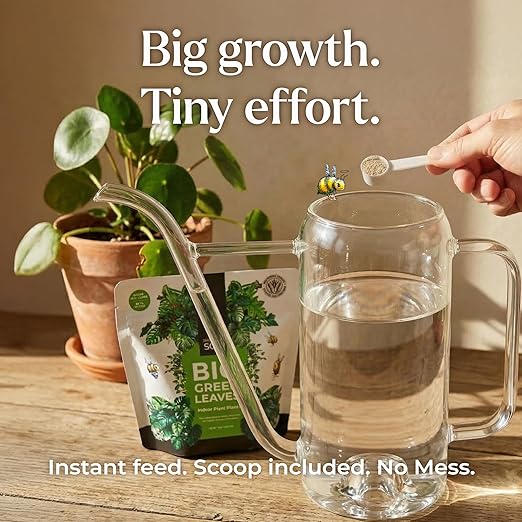 Big Green Leaves Indoor Plant Food – 4X Concentrated Houseplant Fertilizer with Sea Kelp – Makes 90 Gallons – Fast-Acting Mineral Formula Made in USA (1 lb)