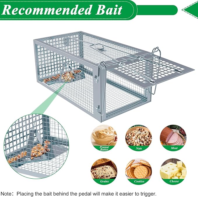 2 Packs Humane Rat Trap Outdoor Wanqueen Humane Mouse Traps Indoor for Home Small Rodent Chipmunk Trap and Other Live Animal Cage Catch and Release