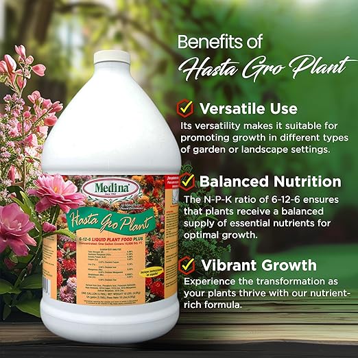 Medina HastaGro Plant Food 6-12-6 Liquid Fertilizer - Natural Plant Fertilizer for Healthy Growth - Food for Plant Nutrients &amp Vibrant Blooms - Promotes Root Development &amp Stronger Plants (1 G
