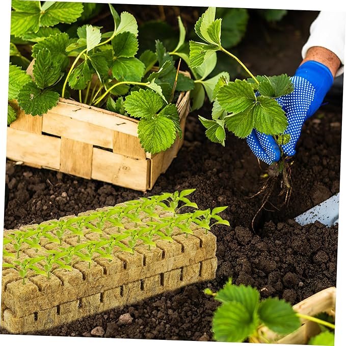 BESPORTBLE 100pcs Soilless Culture Plant Cubes Hydroponic Planting Cubes Air Permeability Water Retention for Indoor Gardening