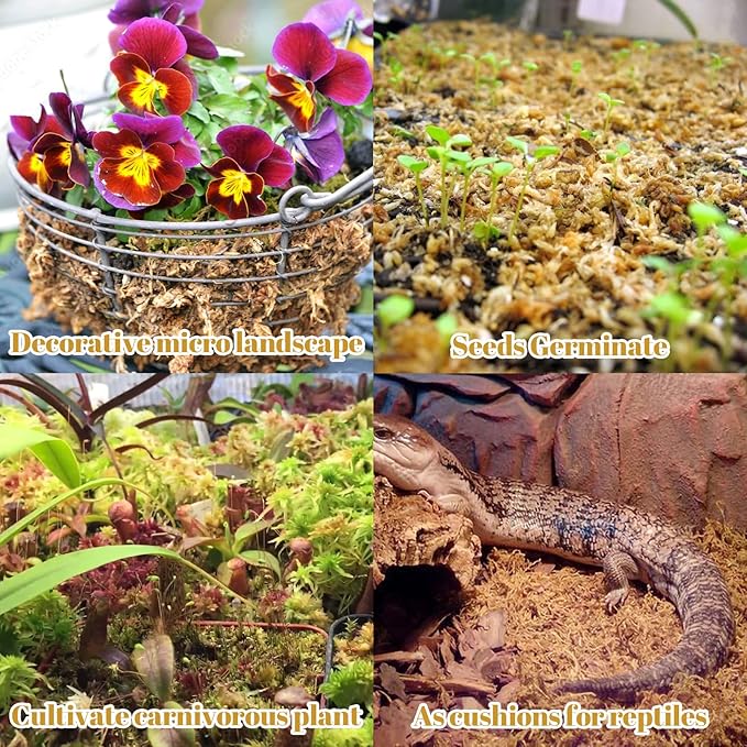 Legigo 2.2LBS Premium Sphagnum Moss for Plants- 40QT Natural Succulent Carnivorous Plant Moss Dried Long Fiber Orchid Moss for Orchid Repotting Succulent Sarracenia Potted Plants Gardening &amp Rept