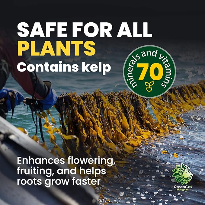 GreenGro Granular Plus Myco All-in-One Fertilizer with Kelp and Humic Acid for Plants Organic Root Stimulator Plant Food with Mycorrhizae for Indoor &amp Outdoor Gardens