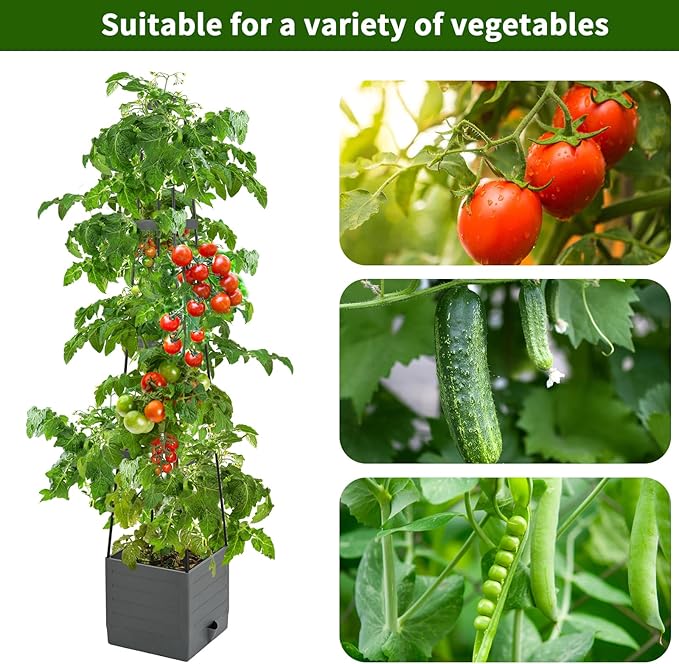 2 Pack Raised Garden Bed Planter Boxes with Trellis 58.3'' Tomato Planters for Climbing Vine Vegetables Flowers Plants Self Watering Tomatoes Cage for Outdoor Patio Greenhouse