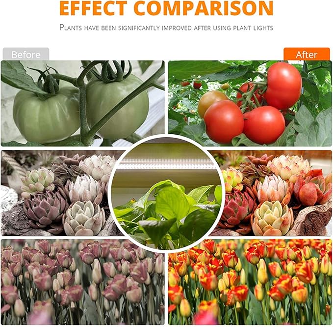 Indoor Led Grow Light Strips 40W Phytolamp for Plants 4pcs Bars Full Spectrum White Led Timer Phyto Lamp Hydroponic Dimmable Bar