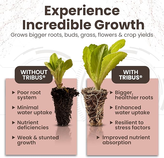 Tribus Organic Microbial Inoculant – Root Booster for Plants Increases Plant Yield Root Growth Flower &amp Fruit Quality. Bloom Booster. Visible Root Growth in 24Hrs. Packaging May Vary. 33.8 oz