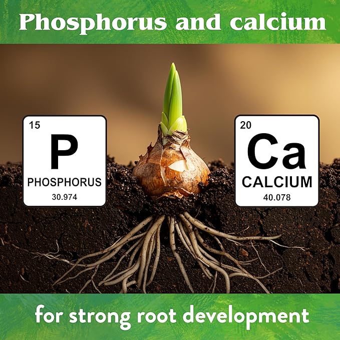 Down To Earth All Natural Fertilizers Organic Bone Meal - High Phosphorus Plant Food for Buds Bulbs Blooms Flowers 3-15-0 5 lb