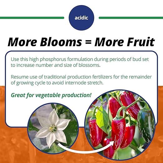 Classic 10-30-20 Blossom Booster Water-Soluble Fertilizer with Micronutrients for Increasing Color and Quantity of Blooms in Flowering Plants 1.5lbs (Pack of 2)