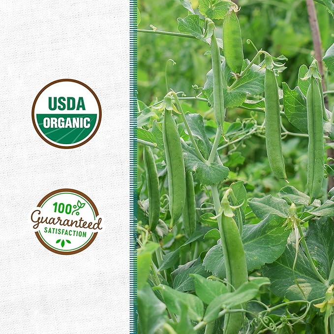 Back to The Roots 100% Organic Field Pea (with Oats) Cover Crop Seeds Covers ~1000 sq. ft.