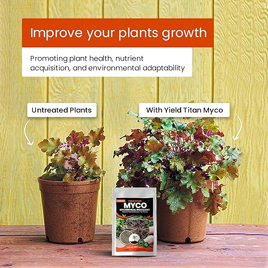 MYCO MYCORRHIZAL INOCULANT Root Enhancer for Bigger Stroger &amp Healthier Plants Roots - Organic Mycorrhizae Root Enhancer - Increases Nutrient Absorption &amp Crop Yields (1LB)