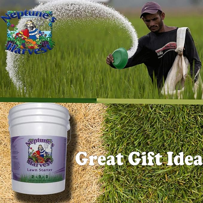 Neptune's Harvest Lawn Starter Fertilizer 5 Gallon Pail