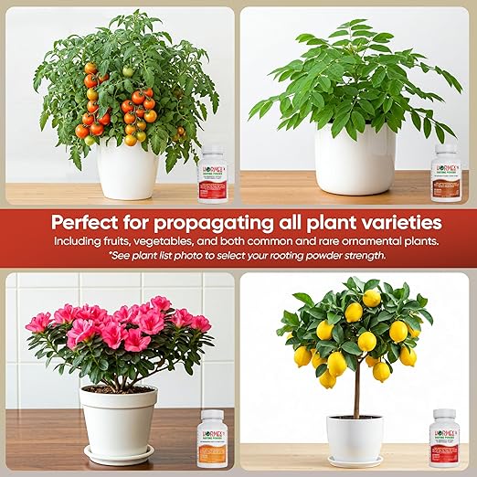 Hormex Rooting Powder Combo #3 8 16 (0.30-1.6 IBA) for Common Home Garden Plants to Difficult Hardwood - Root Powder Root Stimulator for Plants Rooting Hormone for Cuttings Cloning &amp Propagat