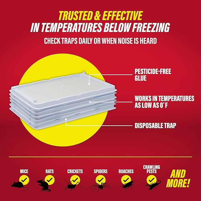 Catchmaster Freeze Resistant Glue Traps 6PK Mouse Traps Indoor for Home Pest Control Tray for Rodents Bugs &amp Crickets Cold Weather Glue Board for House Shed &amp Garage