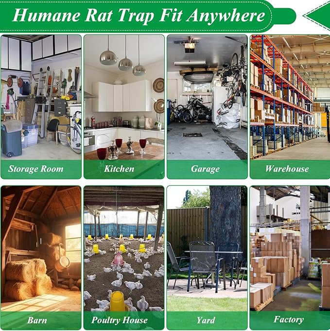 2 Packs Humane Rat Trap Outdoor Wanqueen Humane Mouse Traps Indoor for Home Small Rodent Chipmunk Trap and Other Live Animal Cage Catch and Release
