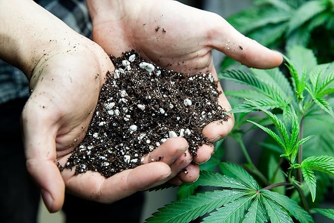 Gardenera Organic Autoflower Plants Potting Soil Mix - Perfect Balance of Nutrients Drainage and Aeration for Thriving Autoflower Plants- 10 Quart