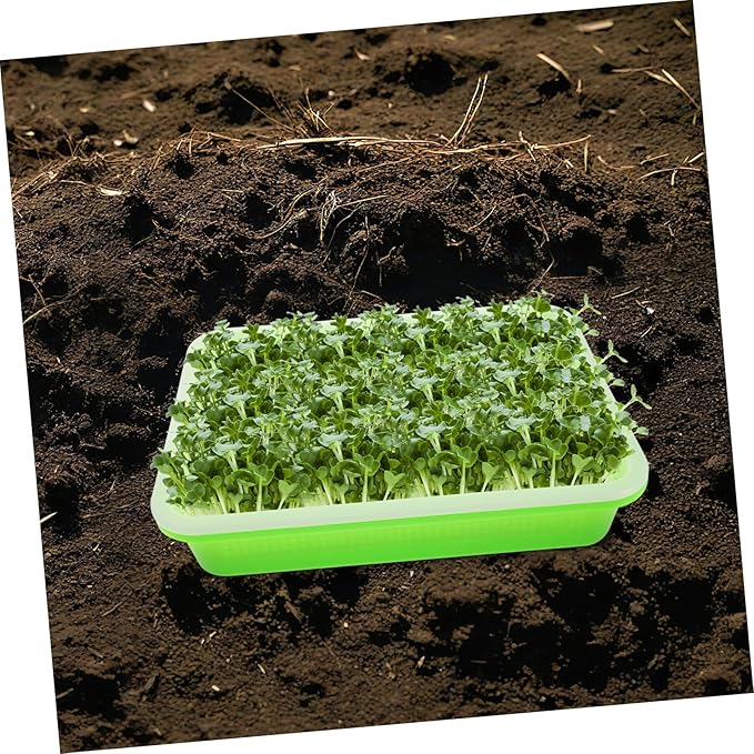 Sosoport Seedling Tray Sprouting Kit Mason Jar Sprouting Sprout Trays for for Home Apartment