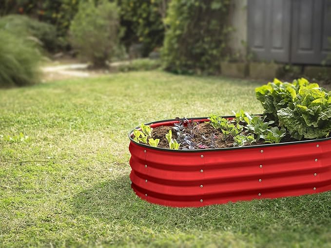 Plant &amp Plot Galvanized Raised Garden Beds Outdoor // 4×2×1 ft Planter Raised Beds for Gardening Vegetables Flowers // Large Metal Garden Box (Red)
