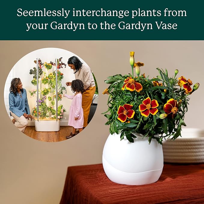Gardyn Vase Complete Kit - Sage Green | Designed for use with Gardyn Hydroponics Growing System Kits &amp Vertical Garden Hydroponic Gardens | Bring Gardyn’s Indoor Plants to All Areas of Your Home