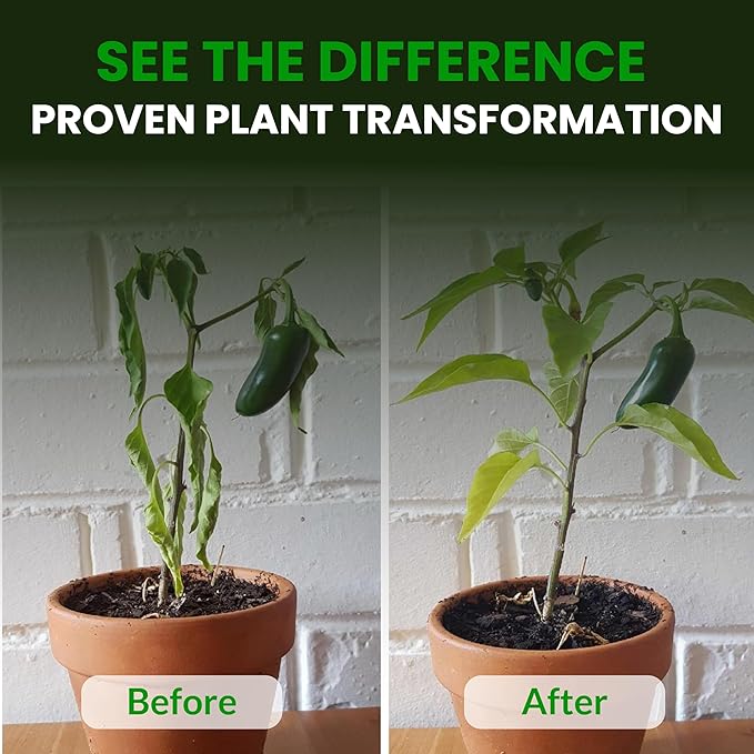 Humboldts Secret CalMag &amp Iron | Calcium Magnesium &amp Chelated Iron Nutrient Fertilizer | Hydroponic Supplies for Vegetative &amp Flowering Growth in Soil Coco Hydroponics or RO Water | 2.5