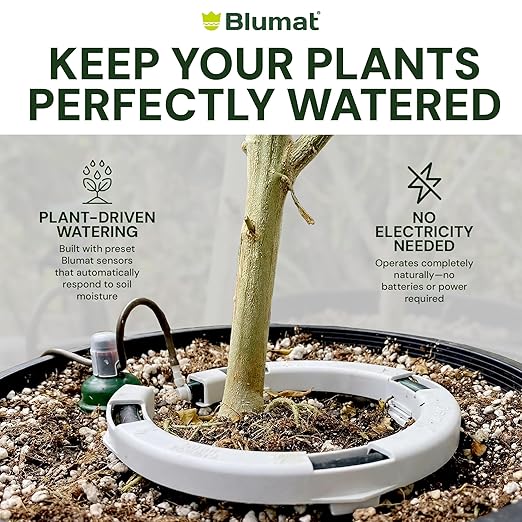 Grow Tent Drip Irrigation System - Blumat Watering Kit for 6 Small Pots (2-7 Gallon) - Automatic Grow Tent Watering System with Efficient Preset Blumat Sensors (Bucket not Included)