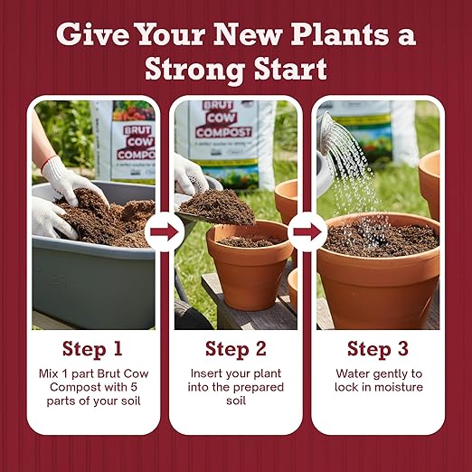 Brut Cow Compost – 4 Pack Nutrient-Rich Composted Cow Manure Organic Soil Amendment – 100% Pure Compost Additive-Free Fertilizer for Vegetable Gardens Flowers Lawns &amp Indoor Plants – 1 Cubic Ft